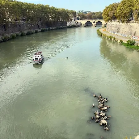 Trastevere House With Balcony,quiet New Διαμέρισμα *